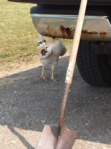 Car Racing Track «Eldora Speedway», reviews and photos, 13929 OH-118, New Weston, OH 45348, USA