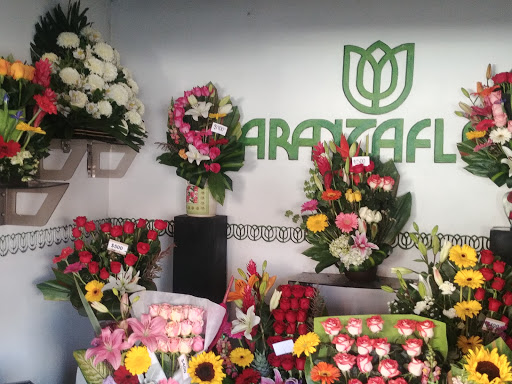 FLORERIAS EN MORELIA, aranzaflor SANTIAGUITO – Morelia