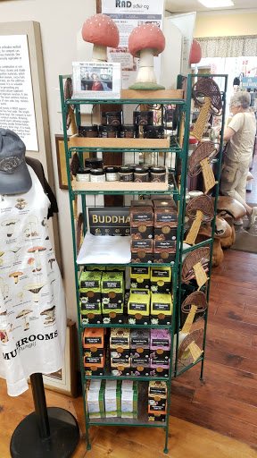 Gift Shop «The Mushroom Cap», reviews and photos, 114 W State St, Kennett Square, PA 19348, USA