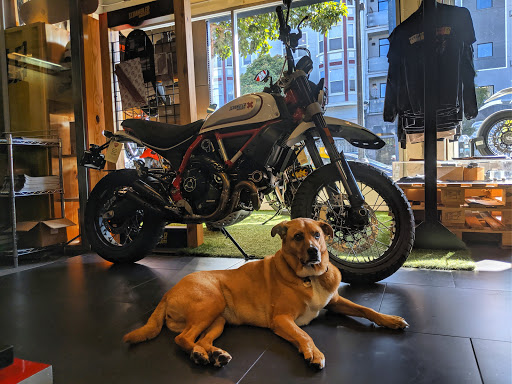 Motorcycle Dealer «Munroe Motors», reviews and photos, 412 Valencia St, San Francisco, CA 94103, USA