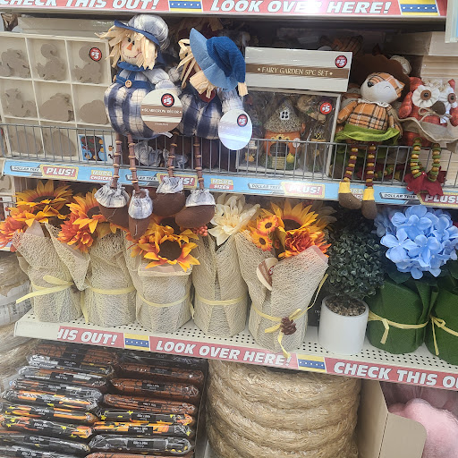 Dollar Store «Dollar Tree», reviews and photos, 2301 Cross Timbers Rd #150, Flower Mound, TX 75028, USA