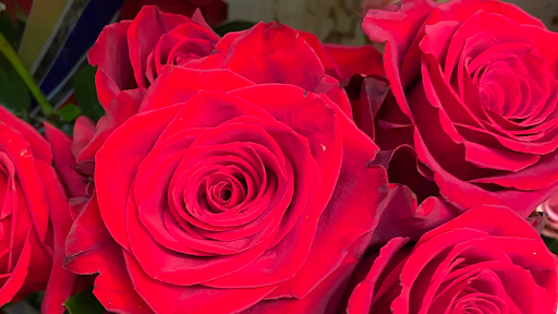 Florist «Adrienes Flowers & Gifts», reviews and photos, 1249 Conner St, Noblesville, IN 46060, USA