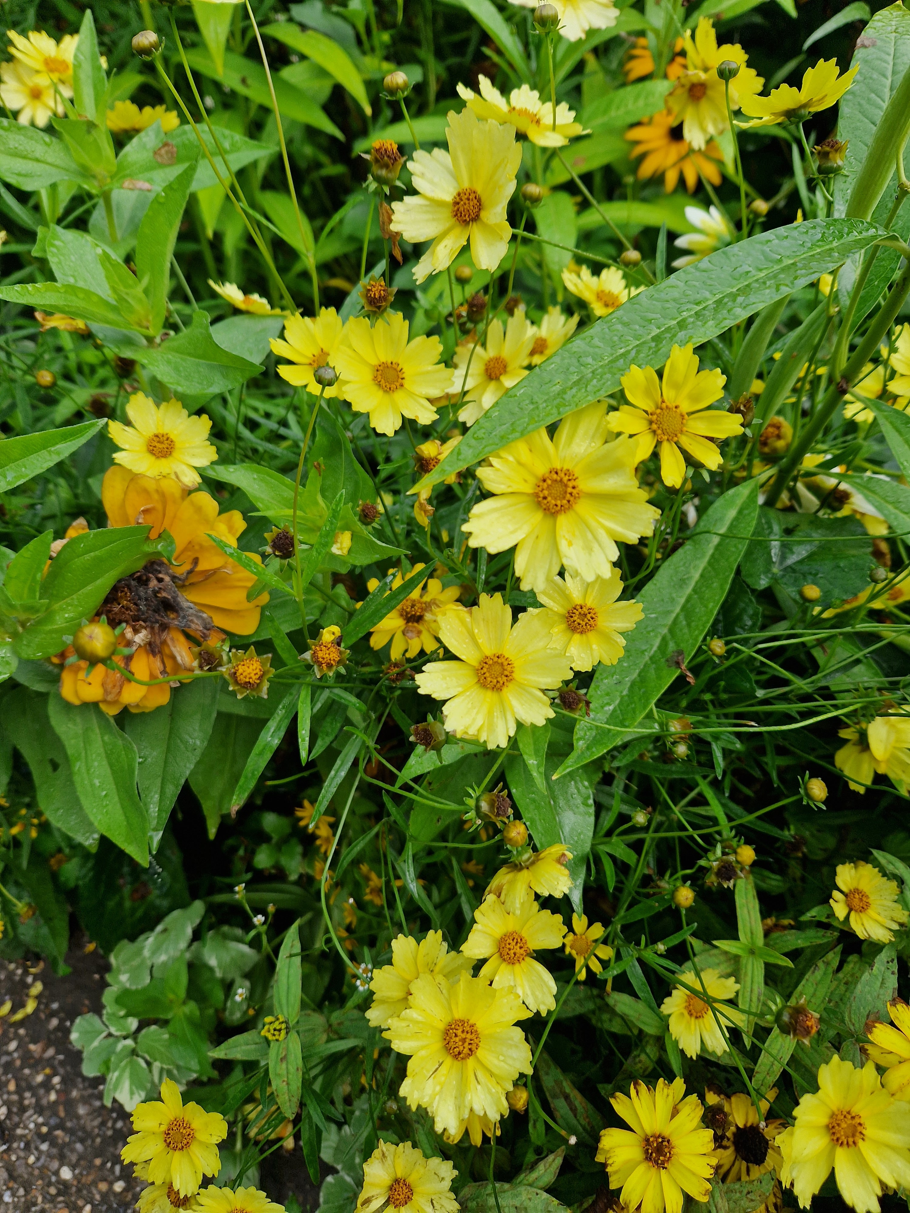 Photo n° 4 de l'avis de Ady.. fait le 31/08/2023 à 14:32