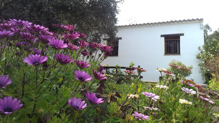 Photos du propriétaire Casa rural Bed El Chaparral de Aracena 21200 Aracena