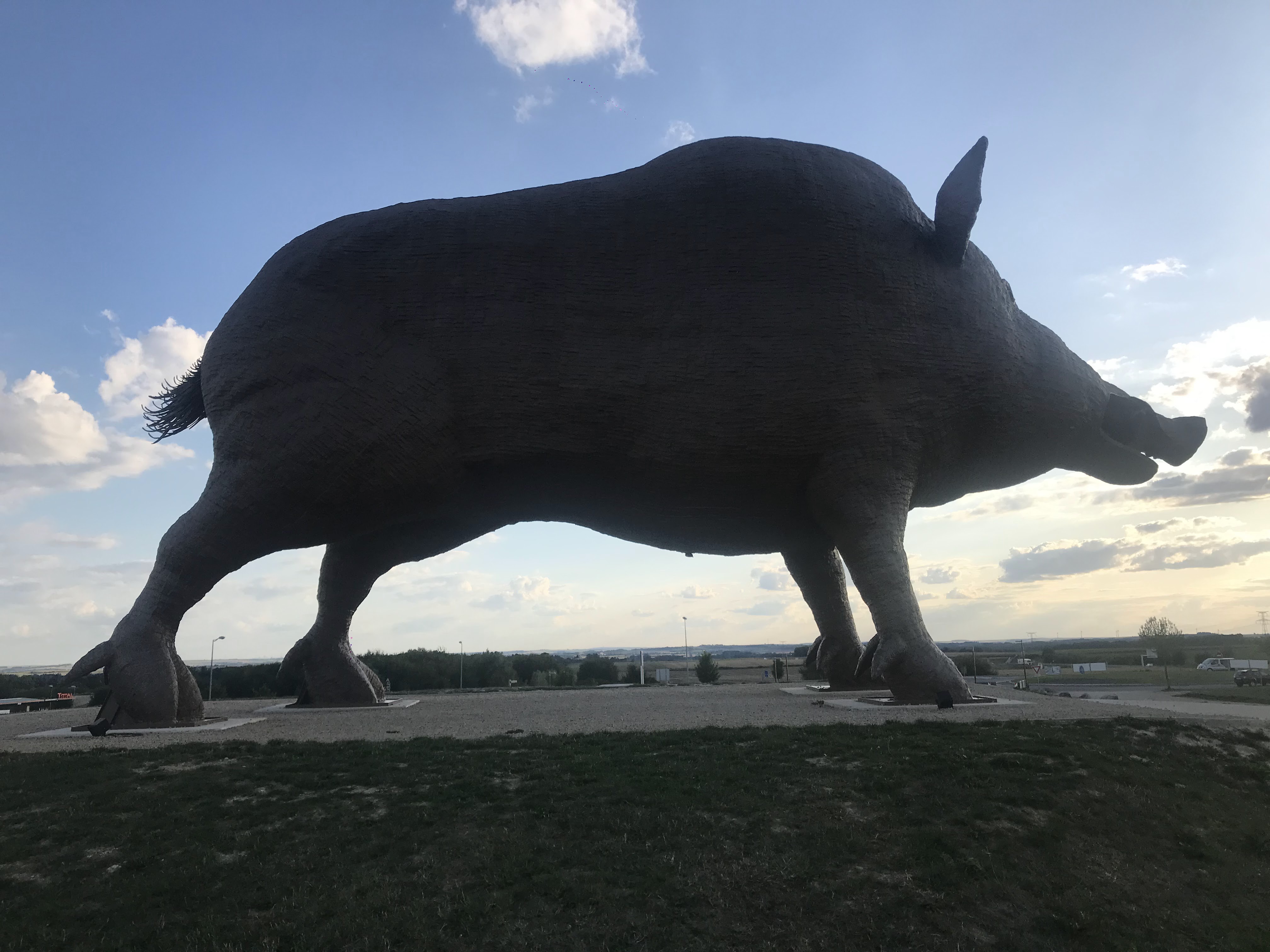 Photo n° 3 de l'avis de E. fait le 02/09/2019 à 11:04