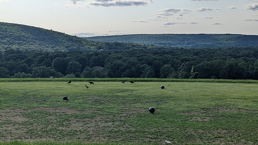 Golf Course «Berkshire Valley Golf Course», reviews and photos, 28 Cozy Lake Rd, Oak Ridge, NJ 07438, USA