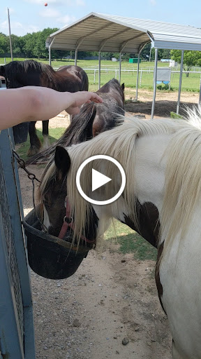 Ranch «Sharkarosa Wildlife Ranch», reviews and photos, 11670 Massey Rd, Pilot Point, TX 76258, USA