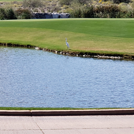 Golf Club «Verrado Golf Club», reviews and photos, 4242 N Golf Dr, Buckeye, AZ 85396, USA