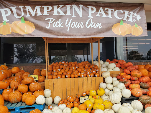 Grocery Store «Safeway», reviews and photos, 2525 SE Tualatin Valley Hwy, Hillsboro, OR 97123, USA