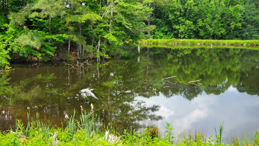 Public Golf Course «Callahan Golf Links», reviews and photos, 4991 Reinhardt College Pkwy, Waleska, GA 30183, USA
