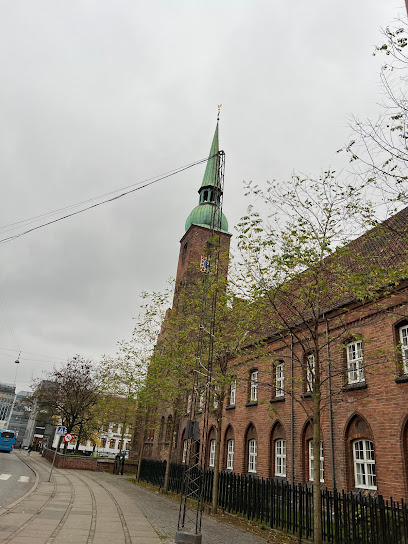 Aarhus Domsogn