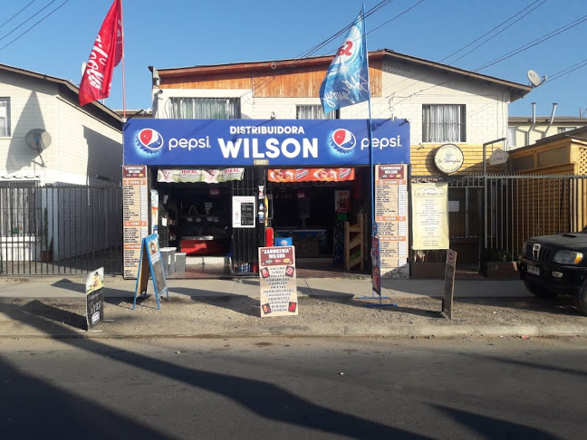 Distribuidora Wilson Ltda
