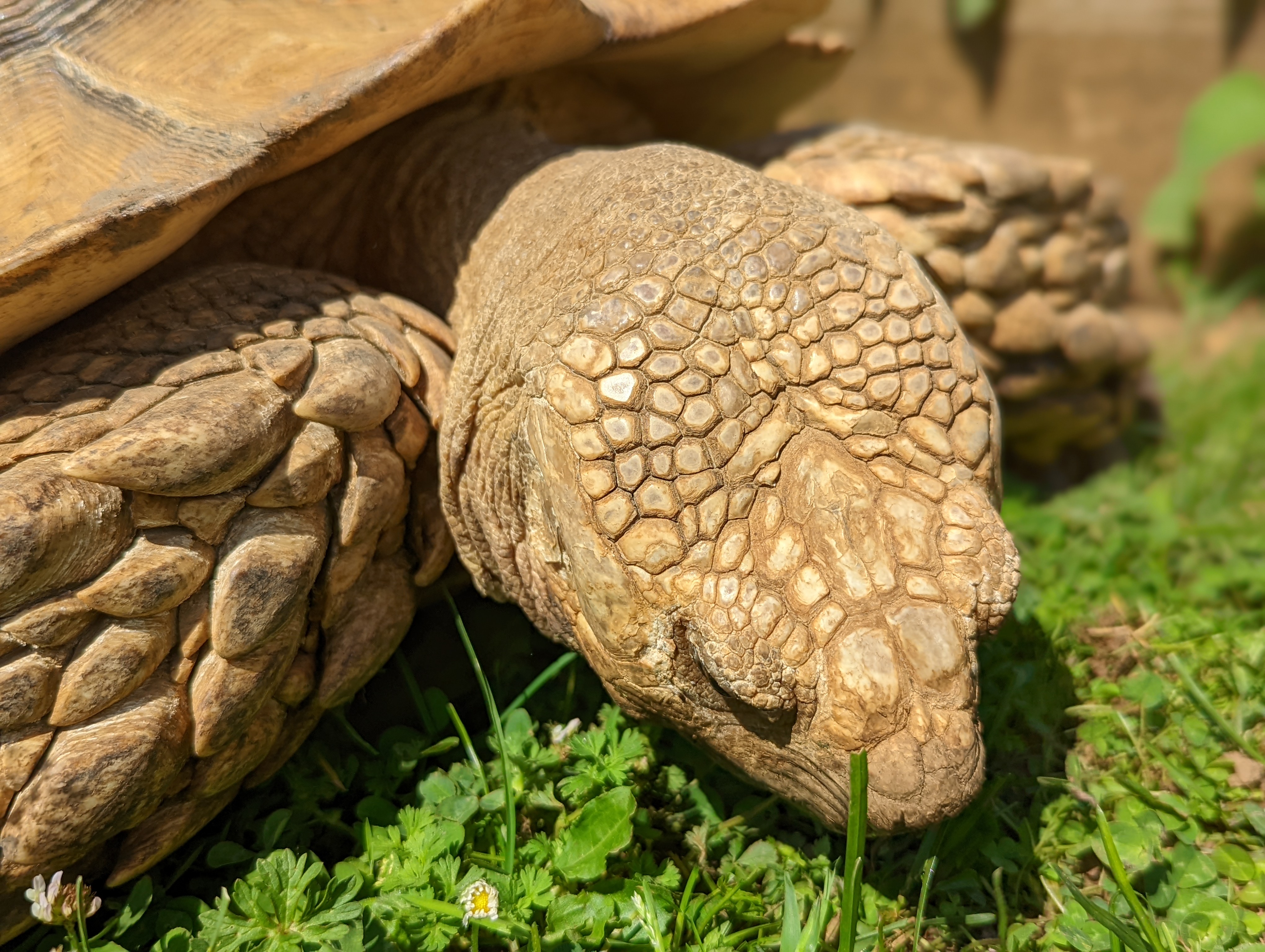 Photo n° 16 de l'avis de Mathieu.I fait le 07/05/2022 à 19:56