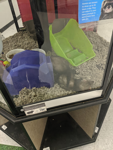 Pet Supply Store «Petco Animal Supplies», reviews and photos, 16434 N Marketplace Blvd, Nampa, ID 83651, USA