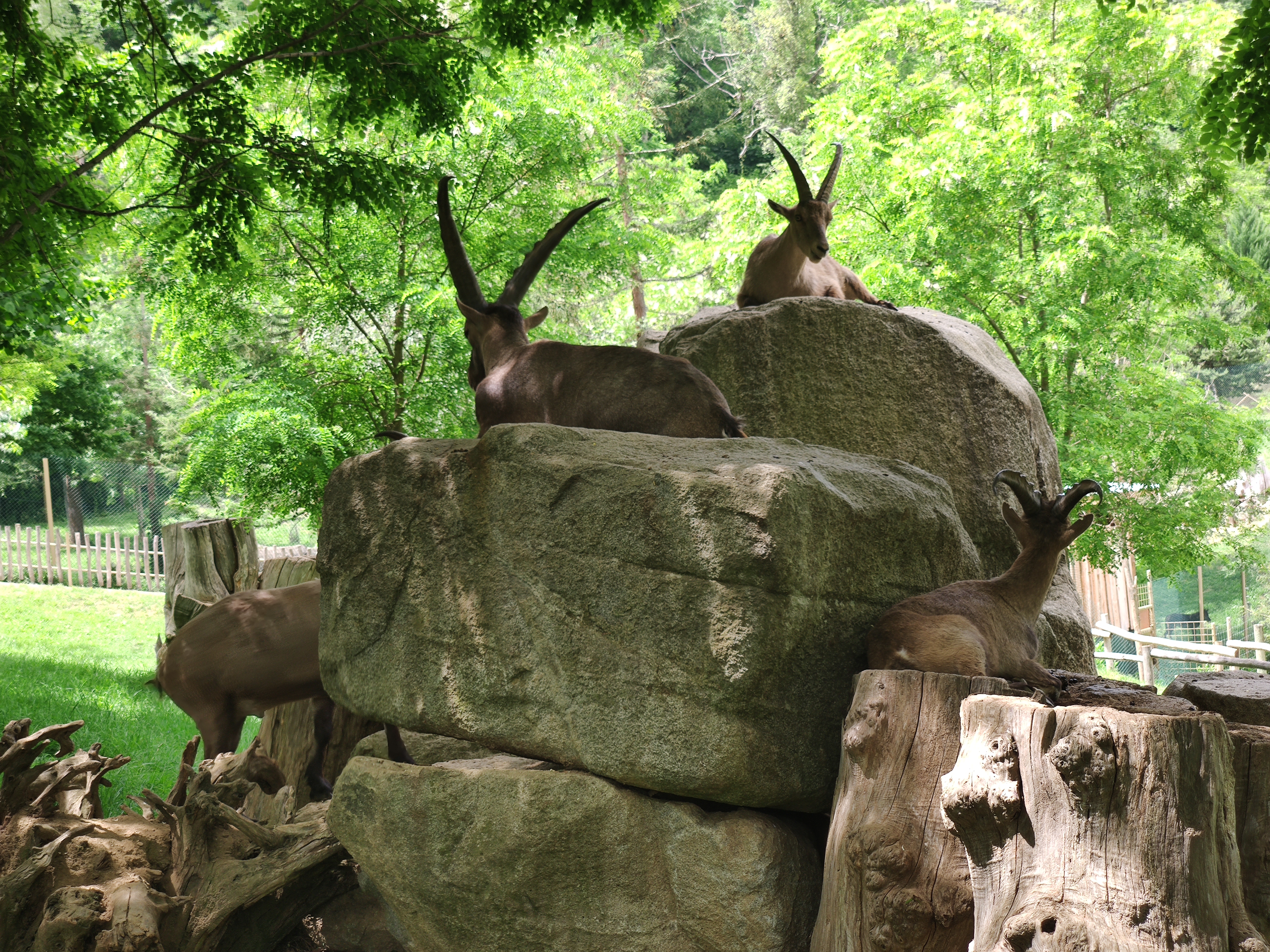 Photo n° 10 de l'avis de Yann.a fait le 29/07/2023 à 09:41