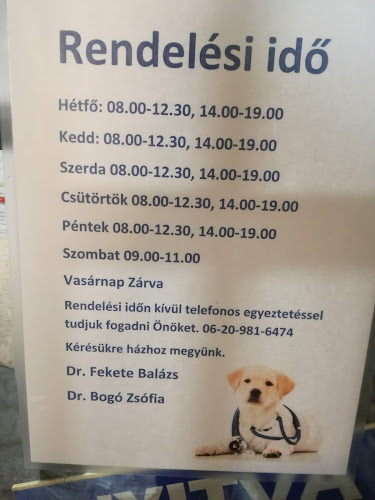 Állatorvosi Rendelő Dr. Fekete Balázs - Százhalombatta