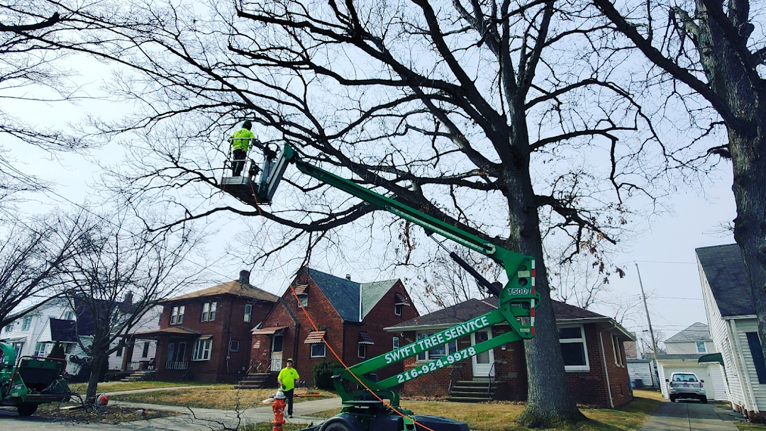 Swift Tree Service LLC