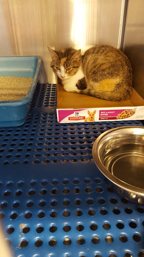 Pet Supply Store «Petsense London», reviews and photos, 1661 KY-192, London, KY 40741, USA