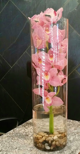 Florist «Ideal Orchids», reviews and photos, 2900 W Sample Rd, Pompano Beach, FL 33073, USA