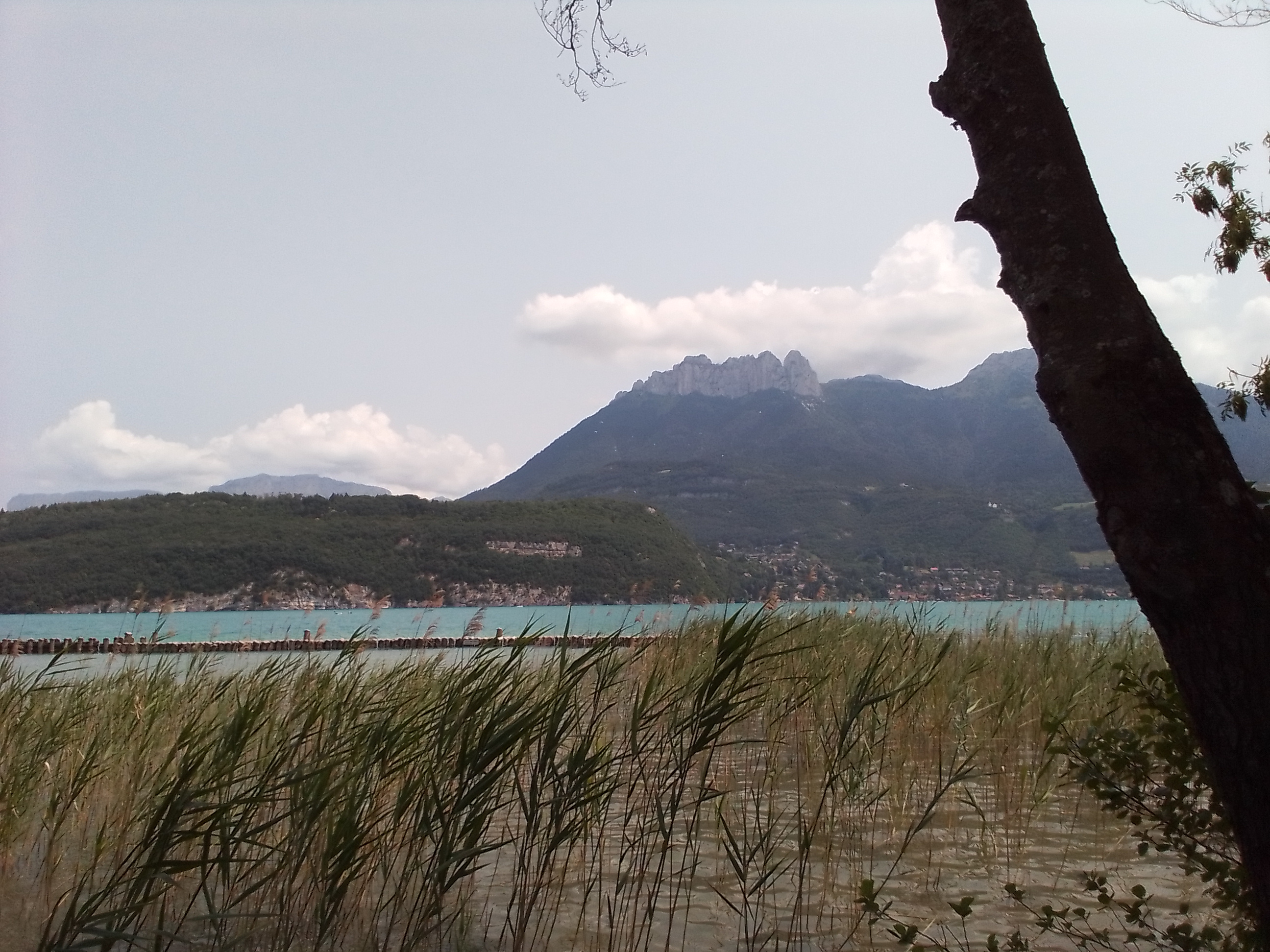 Photo n° 4 de l'avis de Thierry.l fait le 27/06/2023 à 13:44
