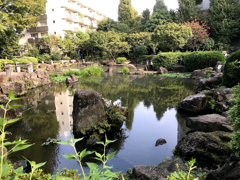 ひょうたん池 東京都中野区新井 公園 グルコミ