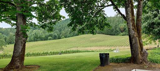 Winery «David Hill Vineyards & Winery», reviews and photos, 46350 NW David Hill Rd, Forest Grove, OR 97116, USA