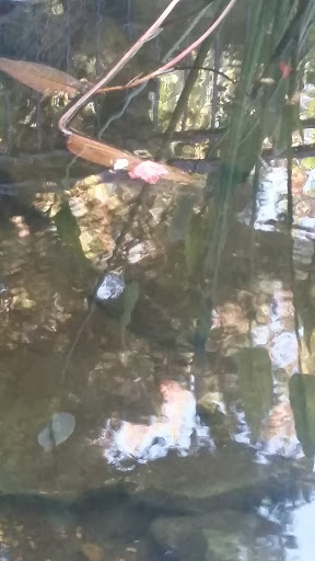 Winery «Eola Hills Wine Cellars», reviews and photos, 501 S Pacific Hwy W, Rickreall, OR 97371, USA