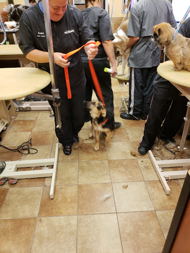 Pet Supply Store «PetSmart», reviews and photos, 4230 Pueblo Fwy, Pueblo, CO 81008, USA