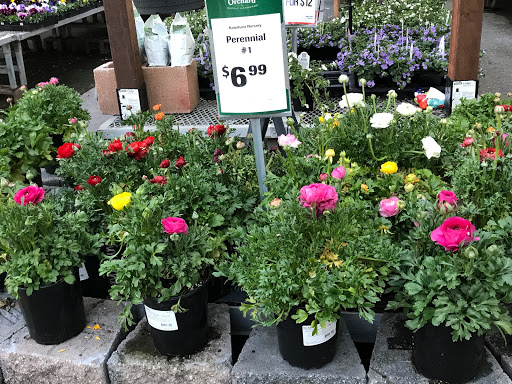 Hardware Store «Orchard Supply Hardware», reviews and photos, 5365 Prospect Rd, San Jose, CA 95129, USA