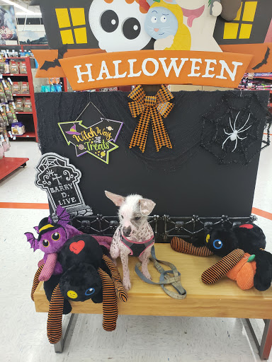 Pet Supply Store «Petco Animal Supplies», reviews and photos, 1049 S Willow St, Manchester, NH 03103, USA