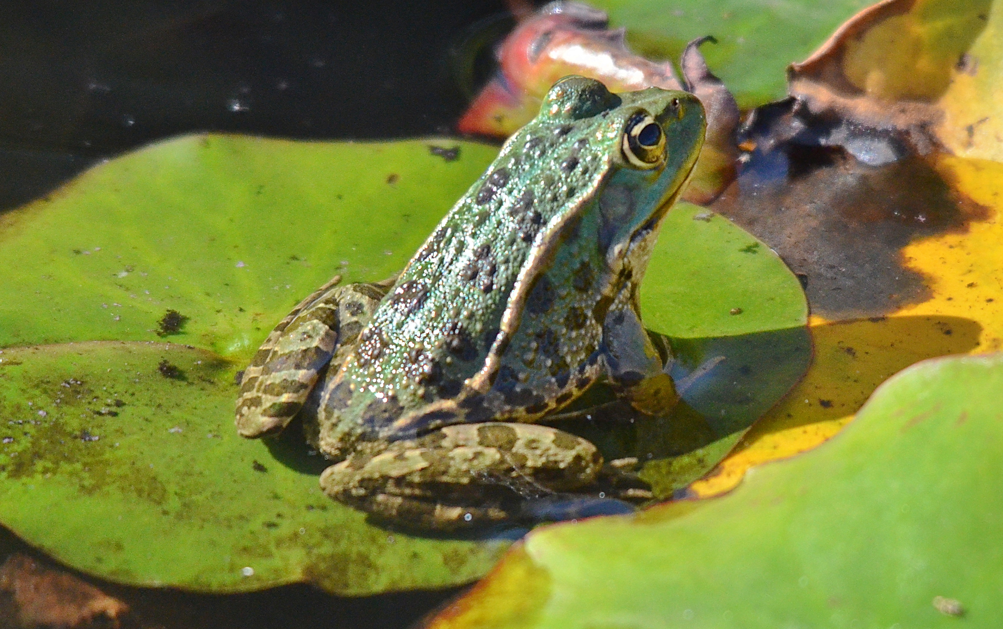Photo n° 2 de l'avis de Nick.e fait le 27/09/2023 à 16:09