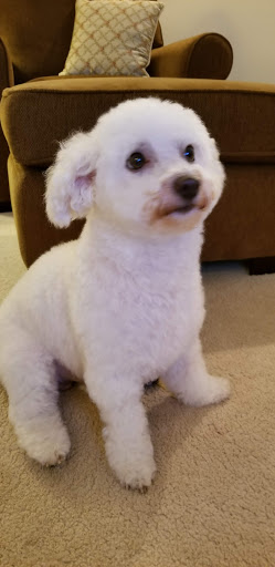 Pet Supply Store «PetSmart», reviews and photos, 4516 U.S. 9, Howell, NJ 07731, USA