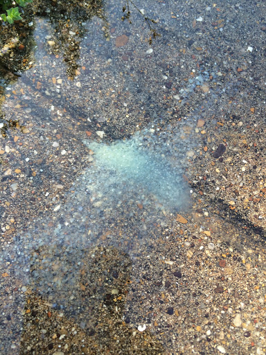 Plumber «The Plumbing Service», reviews and photos, Park Springs Blvd, Arlington, TX 76013, USA