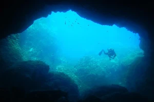 Sirena Sardinia Diving School image