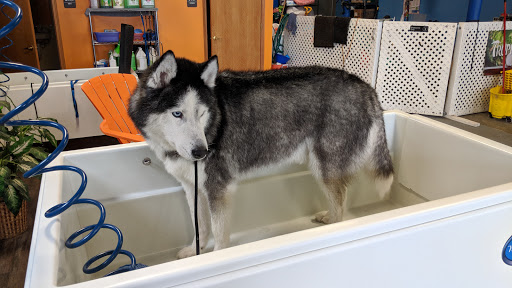 Pet Groomer «That Dog Wash», reviews and photos, 1401 Jackson St, Omaha, NE 68102, USA