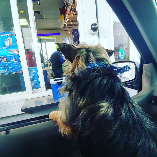 Coffee Shop «Dutch Bros», reviews and photos, 822 SW Coast Hwy, Newport, OR 97366, USA