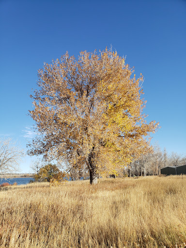 State Park «Cherry Creek State Park», reviews and photos, 4201 S Parker Rd, Aurora, CO 80014, USA