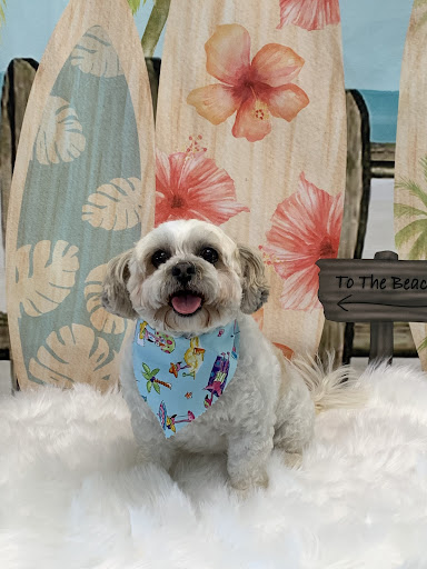 Luxury Pet Spa of Cocoa Beach