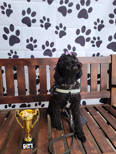 Country Club «Meridian Valley Country Club», reviews and photos, 24830 136th Ave SE, Kent, WA 98042, USA