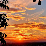 Photo n°3 de l'avis de Sierragelb.l fait le 30/07/2022 à 20:15 sur le  Pizzeria Lanzelot Zum Schützenhaus à Sulzbach am Main