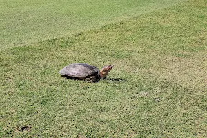 Cave Creek Golf Course image