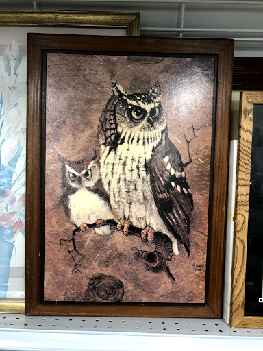 Thrift Store «Goodwill Store & Donation Center», reviews and photos, 1200 Market St, Lemoyne, PA 17043, USA