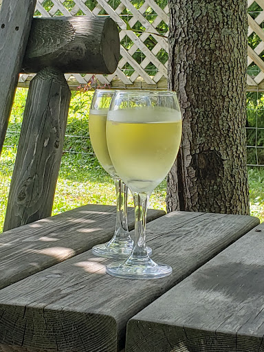 Vineyard «Harpersfield Vineyard», reviews and photos, 6387 OH-307, Geneva, OH 44041, USA