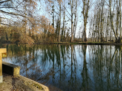 Aire de Pique Nique du Coudray Salbart à Échiré