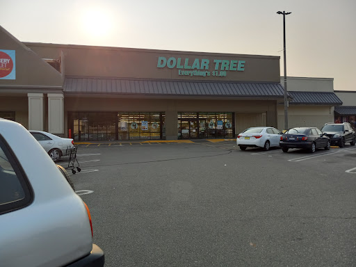 Dollar Store «Dollar Tree», reviews and photos, 900 Meridian Ave E #31, Milton, WA 98354, USA