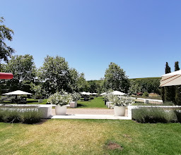 Peter Falke Wines photo