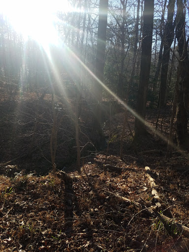 National Park «Petersburg National Battlefield Park Trailhead», reviews and photos, 5001 Siege Rd, Petersburg, VA 23804, USA