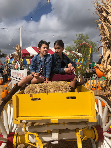 Shopping Mall «Laguna Hills Mall», reviews and photos, 24155 Laguna Hills Mall, Laguna Hills, CA 92653, USA