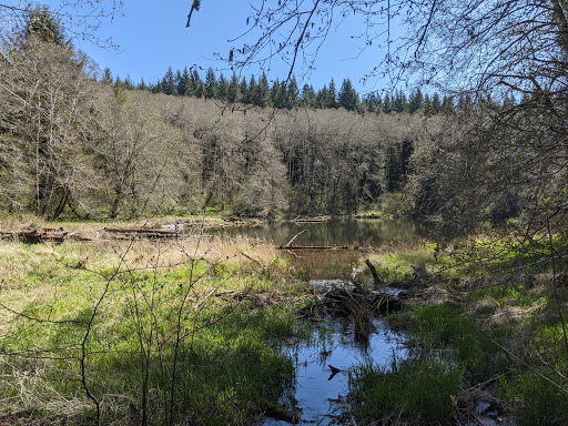 Bloom Lake Trail
