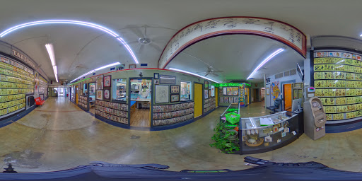 Explore dainty hand tattoo ideas, creative tattoo ideas in Corpus Christi, available at Axis Tattoo